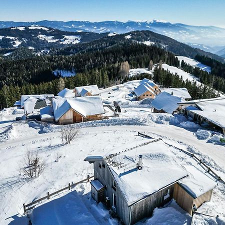 1A Chalet Eck - Wandern, Grillen, Panorama Sauna! Klippitztorl Zewnętrze zdjęcie